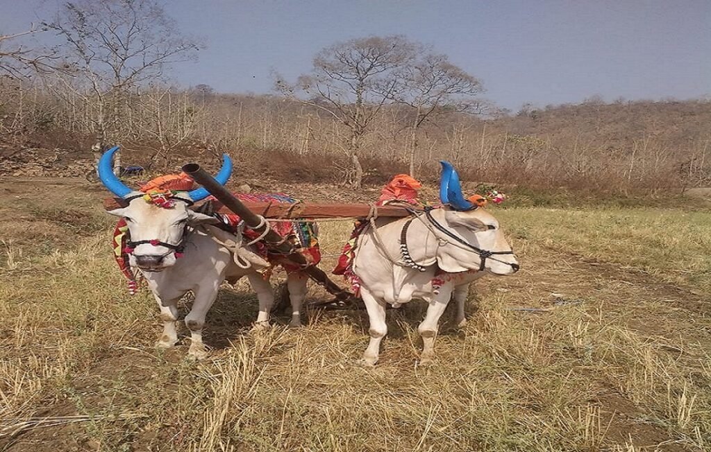 Kisan andolan 