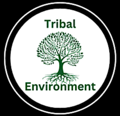 Tribal Environment